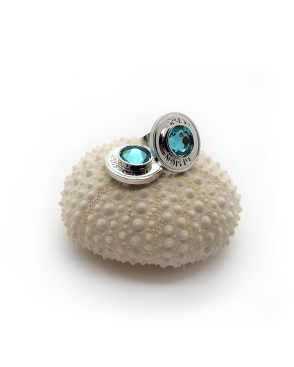 Rhodium plated clip on "Marine porthole" earings