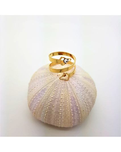 Gold plated double ring